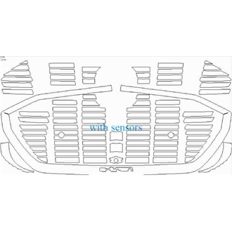 2020- Audi e-tron S Line Sportback Grille pre cut kit