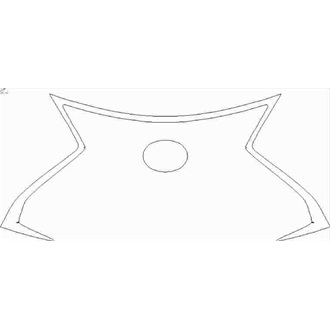2020- Lexus RC F Carbon, Track Edition Grille pre cut kit