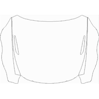 2021- Aston Martin Vantage Coupe Hood with Vents pre cut kit
