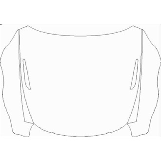 2021- Aston Martin Vantage Roadster Hood with Vents pre cut kit
